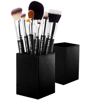 PRO Series Brush Set with Magnetized Case
